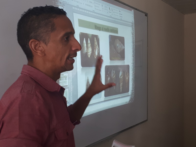 Caracol Gigante Africano: Necesitamos tu apoyo para controlarlo