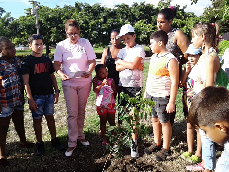 Cienfuegos siembra rboles previo a Cumbre del Clima Cienfuegos siembra rboles previo a Cumbre del Clima