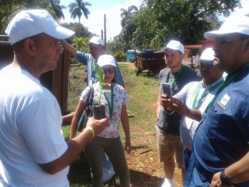 Finca El Mulato: una agricultura en armon�a con la naturaleza