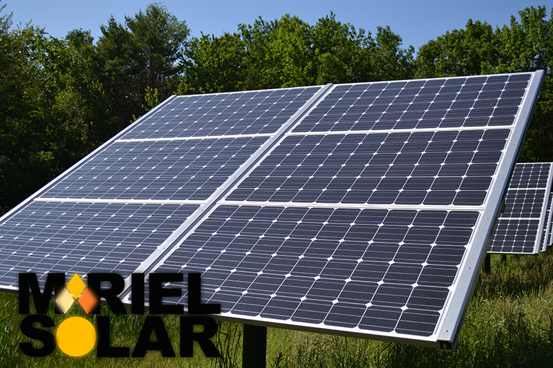 Carlos de Gales inició construcción de parque fotovoltaico en Artemisa