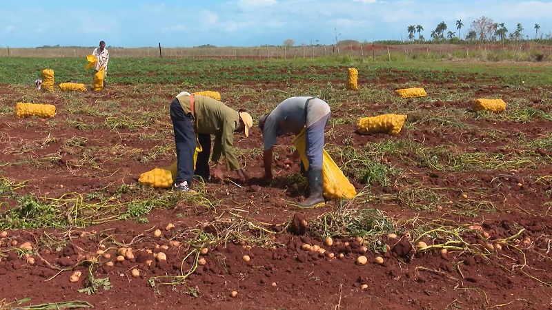 Debaten en Matanzas sobre agricultura 
