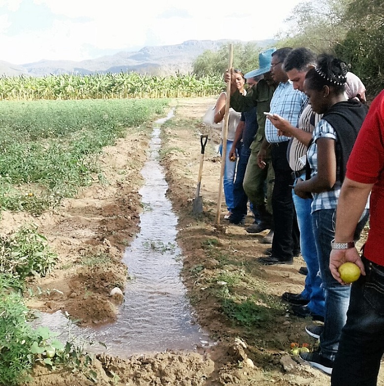Llaman en Guant�namo a incrementar producciones agr�colas