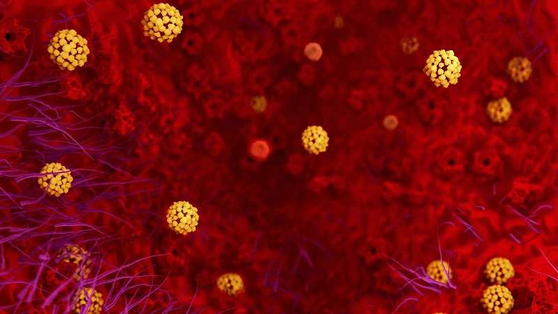 Cinco aspectos que debemos conocer sobre el coronavirus