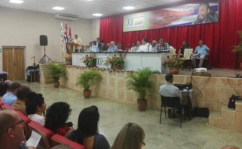 Producir más alimentos, prioridad en Artemisa