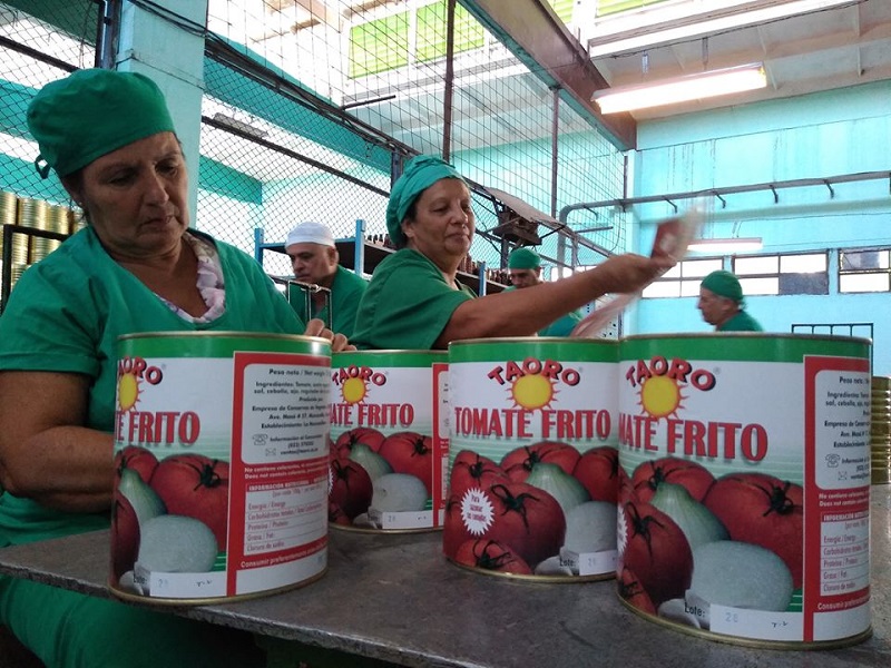 Conservas Granma recupera atraso en producciones derivadas del tomate 