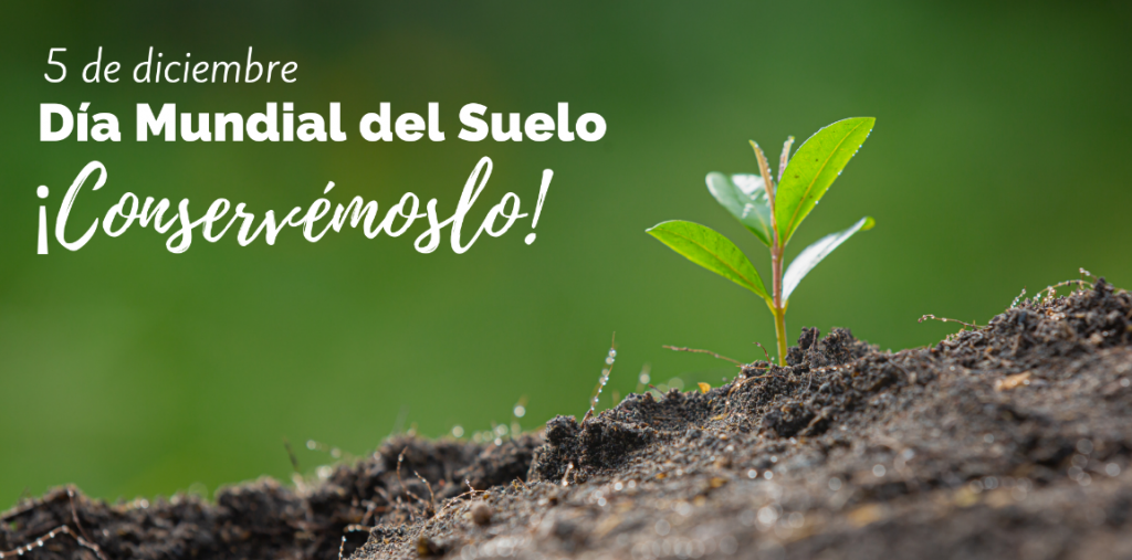 Celebra la FAO el Día Mundial del Suelo 2023 - Radio Rebelde